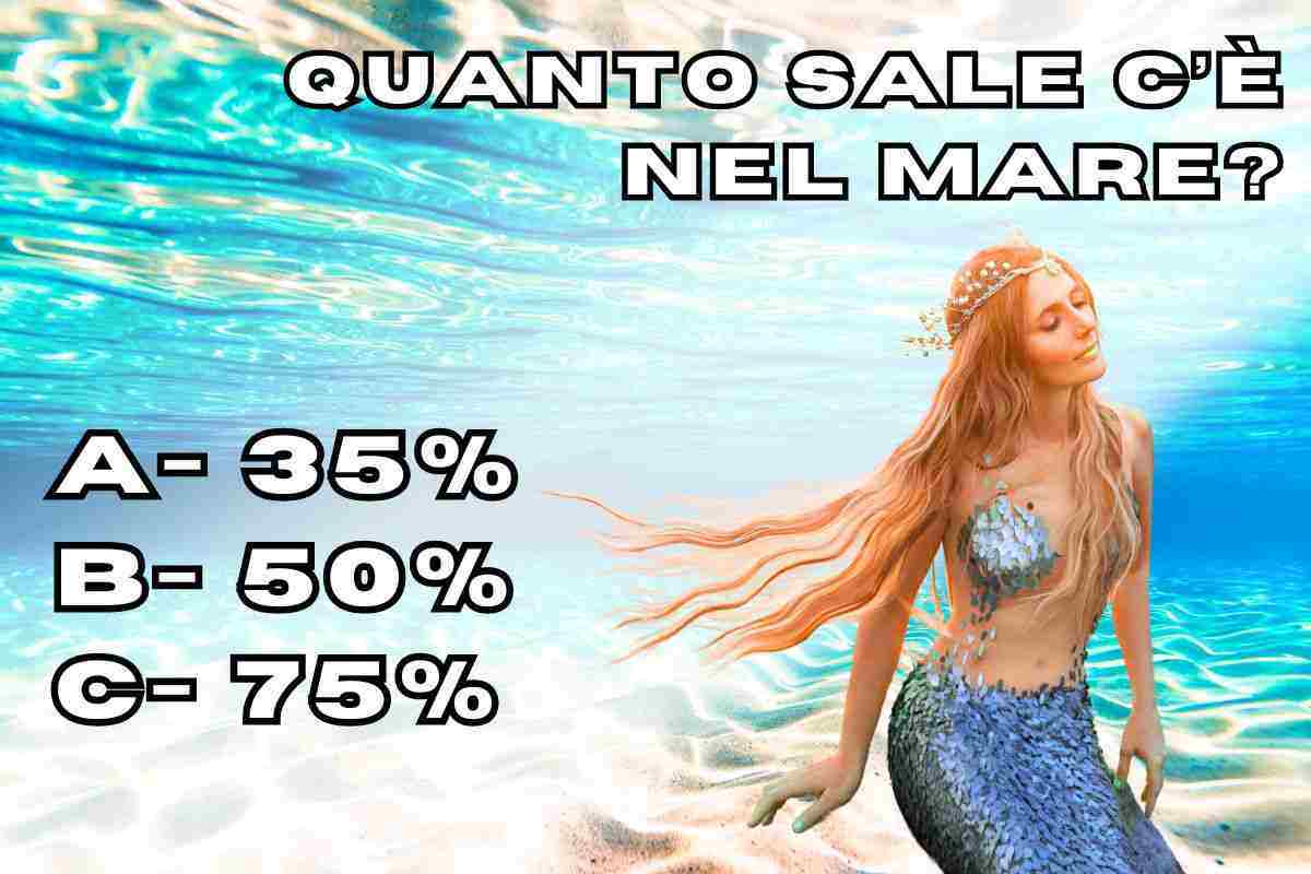 Quanto sale c'è nel mare?