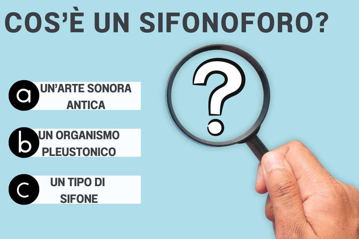 Che cosa è un sifonoforo? La sfida